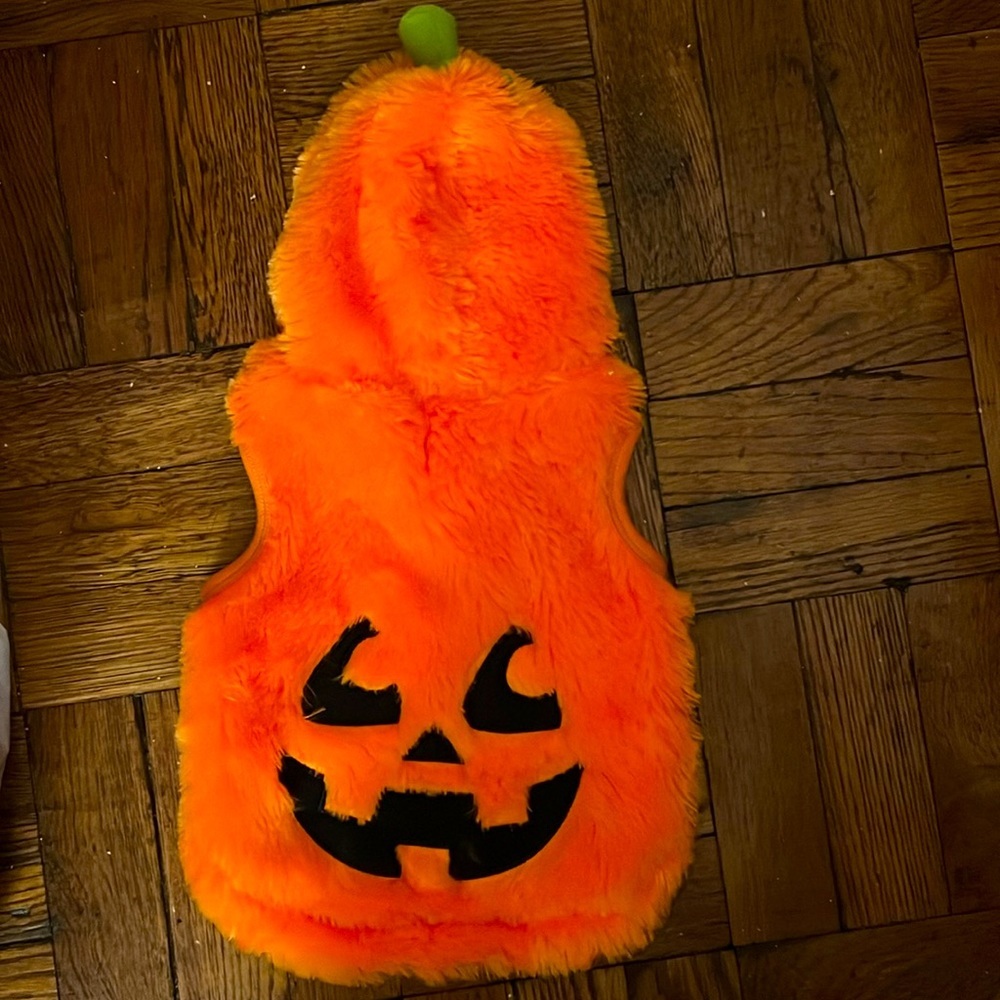 pumpkin costume size; M fits a shihpoo